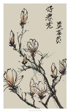 Framed Mandarin Magnolia I Print