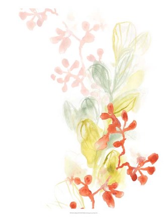 Framed Sea Branch II Print