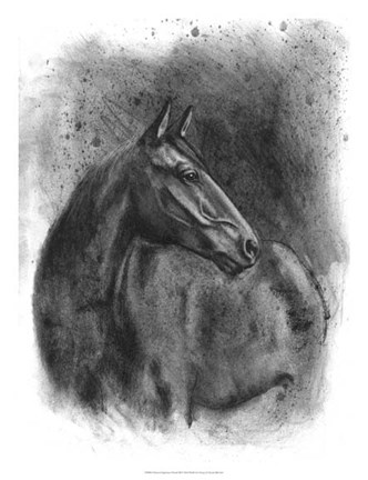 Framed Charcoal Equestrian Portrait III Print