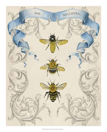 Framed Bees &amp; Filigree II Print