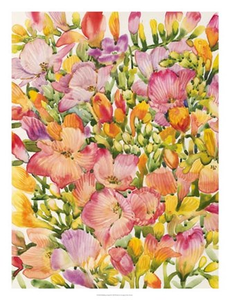 Framed Wildflower Study II Print