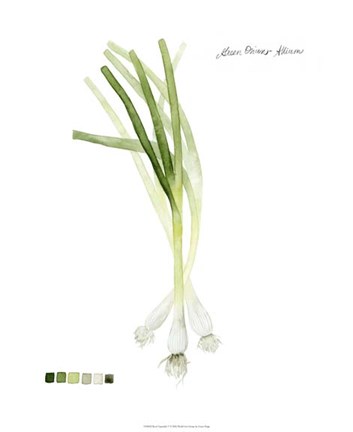 Framed Root Vegetable V Print