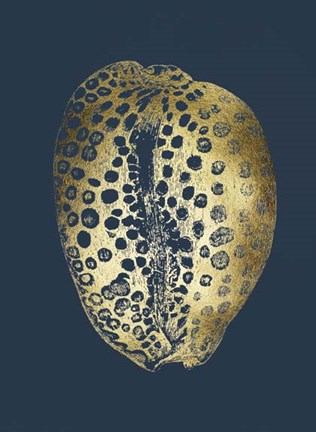 Framed Gold Foil Shell II on Cobalt Print