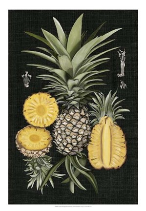 Framed Graphic Pineapple Botanical Study I Print