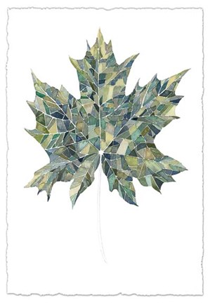 Framed Verdant Details II Print