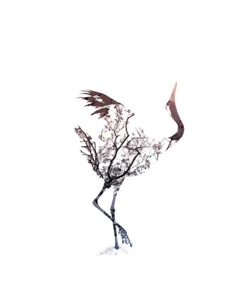 Framed Red Crowned Crane Pair, Part I Inverted Print