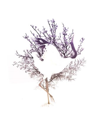 Framed Red Crowned Crane Pair, Part II Print