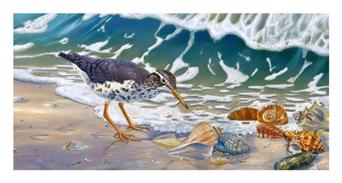 Framed Beach Bums Print