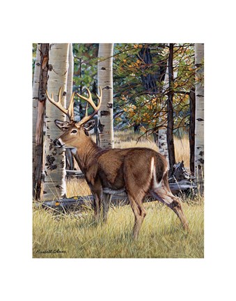 Framed Fall Whitetail Print