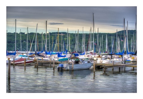 Framed Harbor at Watkins Glen Print