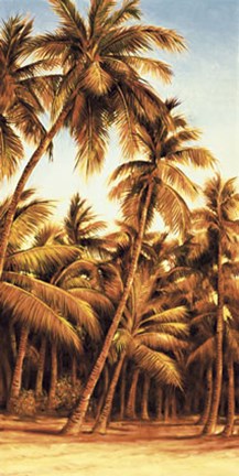 Framed Island Sunset II Print