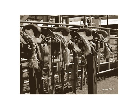 Framed Bareback Saddles Print