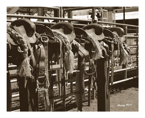 Framed Bareback Saddles Print