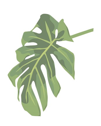 Framed Philodendron 3 Print