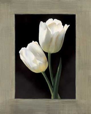 Framed Tulipani Bianchi Print