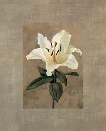 Framed Lily Print