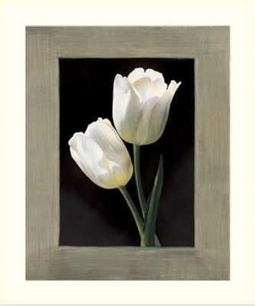 Framed Tulipani Bianchi Print
