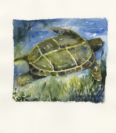 Framed Gliding Print