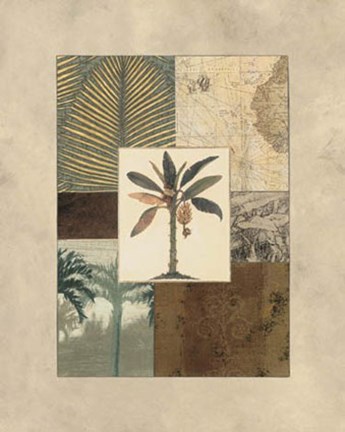 Framed Colonial II Print