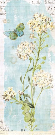 Framed Botany Blue III Print