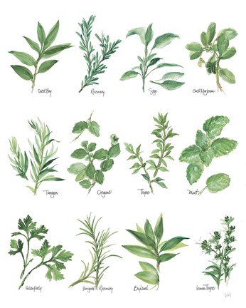 Framed Herb Chart Print