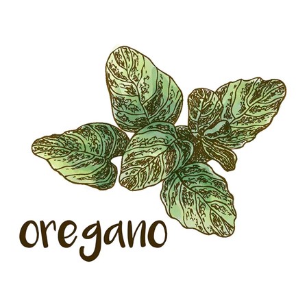 Framed Oregano Print