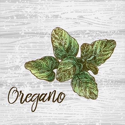 Framed Oregano on Wood Print