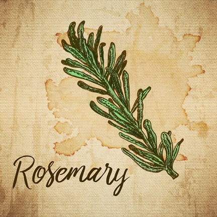 Framed Rosemary on Burlap Print