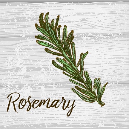 Framed Rosemary on Wood Print