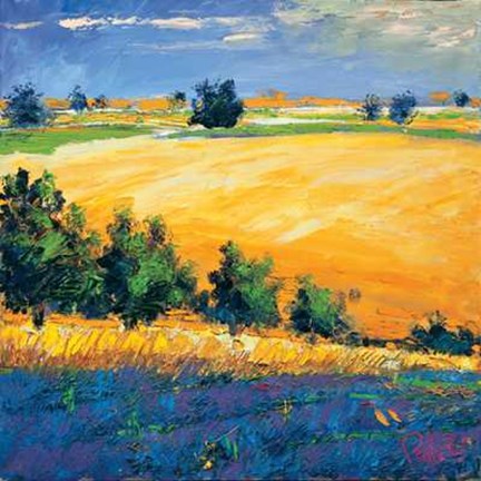 Framed Claudio Rabino - Vallata in Fiore Size 38.25x38.25 Print