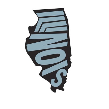 Framed Illinois Letters Print