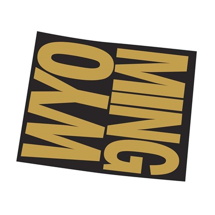 Framed Wyoming Letters Print