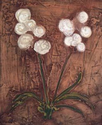 Framed White Flowers on Red II Print