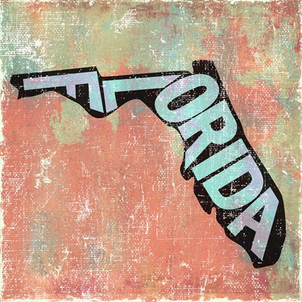 Framed Florida Print