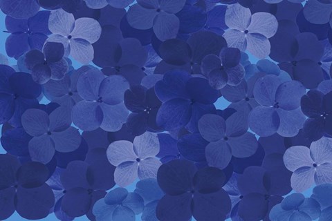 Framed Cool Blue 9 Print