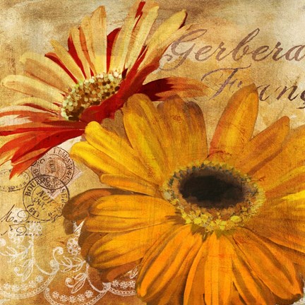 Framed Golden Gerbera II Print