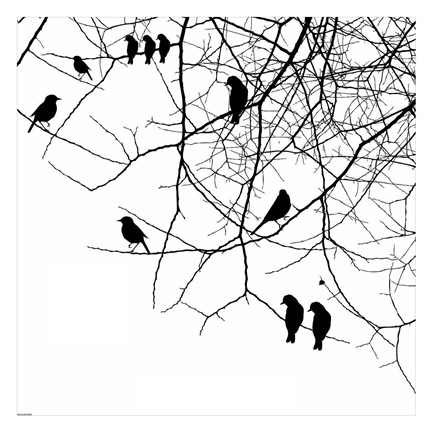 Framed Bird II Print