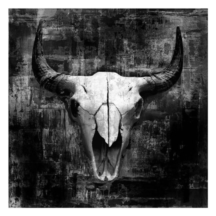 Framed Black Cowskull Print