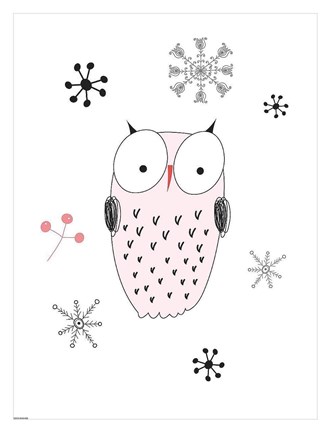 Framed Owl III Print