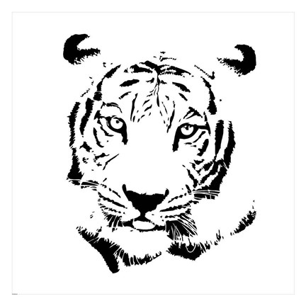 Framed Tiger Print