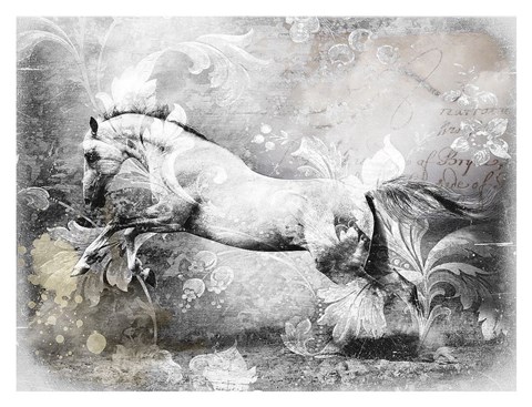 Framed White Horse Print