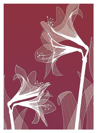 Framed X-ray Flowers Red Print