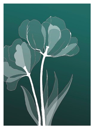 Framed X-ray Flowers Green Print