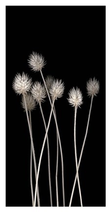 Framed Dried Up I Print