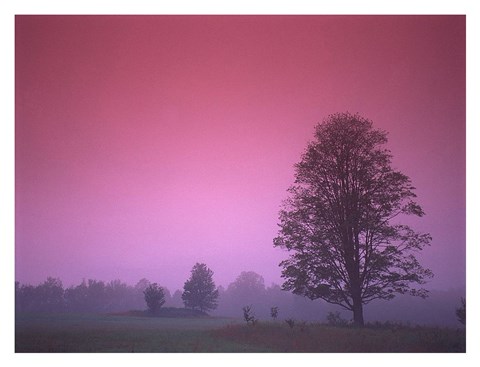 Framed Evening Fields Print