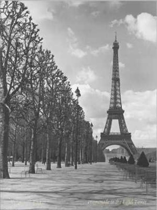 Framed Views of Paris Promenade to the Eiffel Print