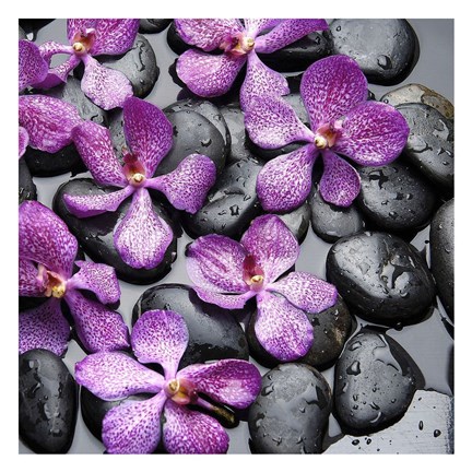 Framed Zen Pebbles IV Print