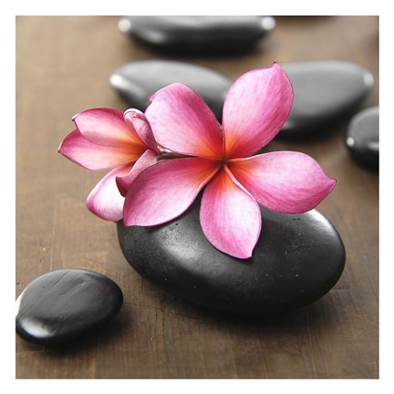 Framed Zen Pebbles II Print