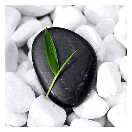 Framed Zen Stone Print
