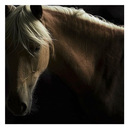 Framed Spirit Horse Print